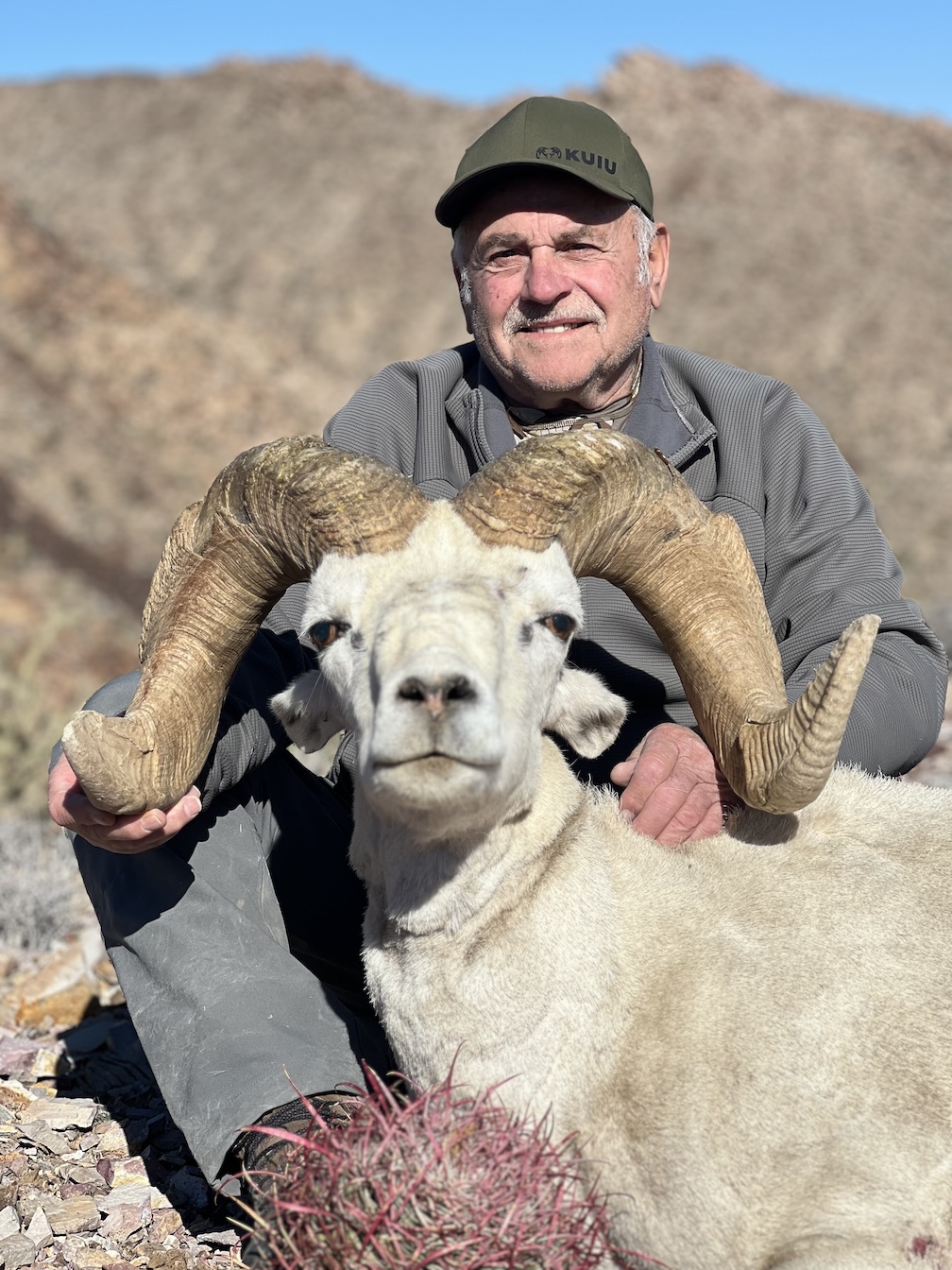 Alt Text is good for SEO